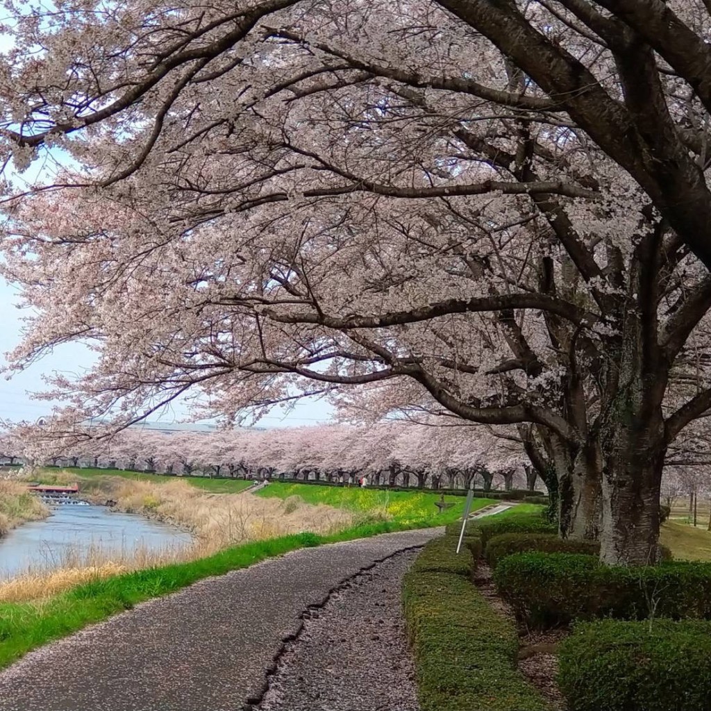 実際訪問したユーザーが直接撮影して投稿した石橋公園姿川アメニティパークの写真