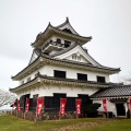 実際訪問したユーザーが直接撮影して投稿した館山城 / 城跡館山城の写真