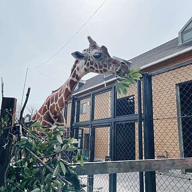 福山市立動物園のundefinedに実際訪問訪問したユーザーunknownさんが新しく投稿した新着口コミの写真