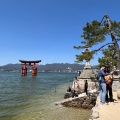 実際訪問したユーザーが直接撮影して投稿した宮島町神社嚴島神社 参拝入口の写真