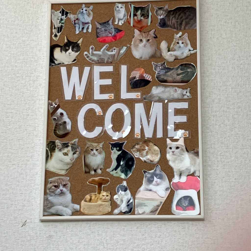 実際訪問したユーザーが直接撮影して投稿した八幡中山町カフェ里親探しの猫カフェ にゃんずはうすの写真