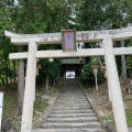 実際訪問したユーザーが直接撮影して投稿した藤野公園藤公園の写真