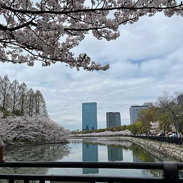 大阪城公園のundefinedに実際訪問訪問したユーザーunknownさんが新しく投稿した新着口コミの写真