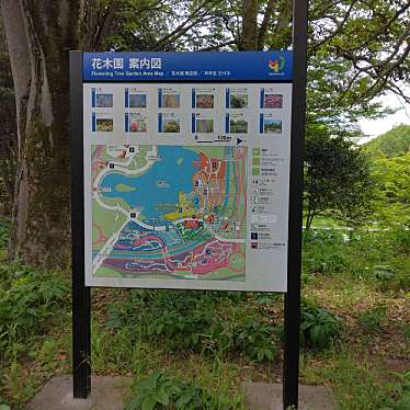 実際訪問したユーザーが直接撮影して投稿した緑町植物園 / 樹木園昭和記念公園 花木園の写真
