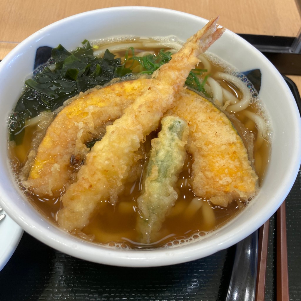 ユーザーが投稿した天ぷらうどんの写真 - 実際訪問したユーザーが直接撮影して投稿した鶴見町うどん麺・丼 ほなみ アルプラザ鶴見店の写真