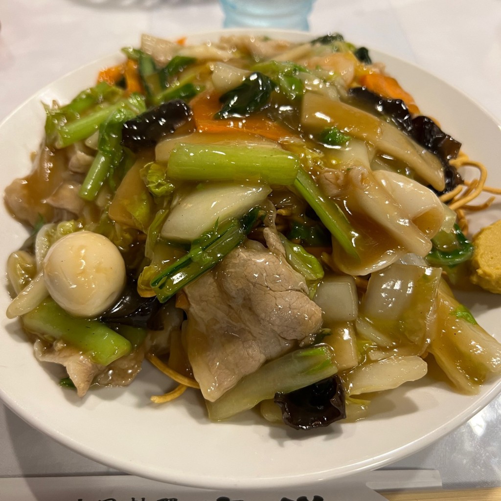 ユーザーが投稿した五目揚焼そばの写真 - 実際訪問したユーザーが直接撮影して投稿した横渚中華料理東洋 鴨川店の写真