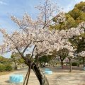 実際訪問したユーザーが直接撮影して投稿した明石公園公園明石公園の写真