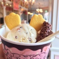実際訪問したユーザーが直接撮影して投稿した舞浜アイスクリームアイスクリームコーン 東京ディズニーランドの写真