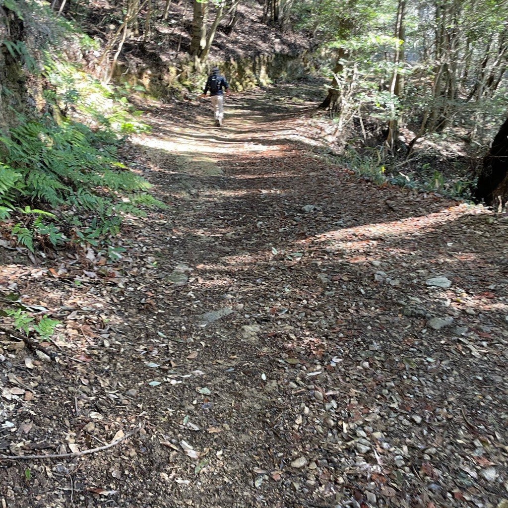 実際訪問したユーザーが直接撮影して投稿した山 / 峠嵩山の写真