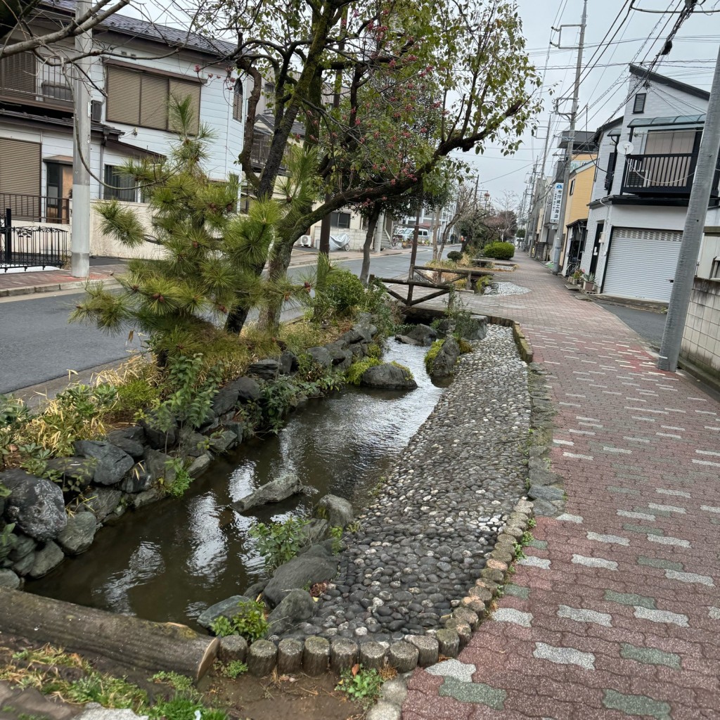 実際訪問したユーザーが直接撮影して投稿した北篠崎散策路興農親水緑道の写真