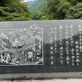 実際訪問したユーザーが直接撮影して投稿した西祖谷山村善徳橋祖谷のかずら橋の写真