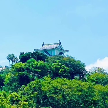 グルメリポートさんが投稿した尾崎博物館のお店淡路城/アワジジョウの写真