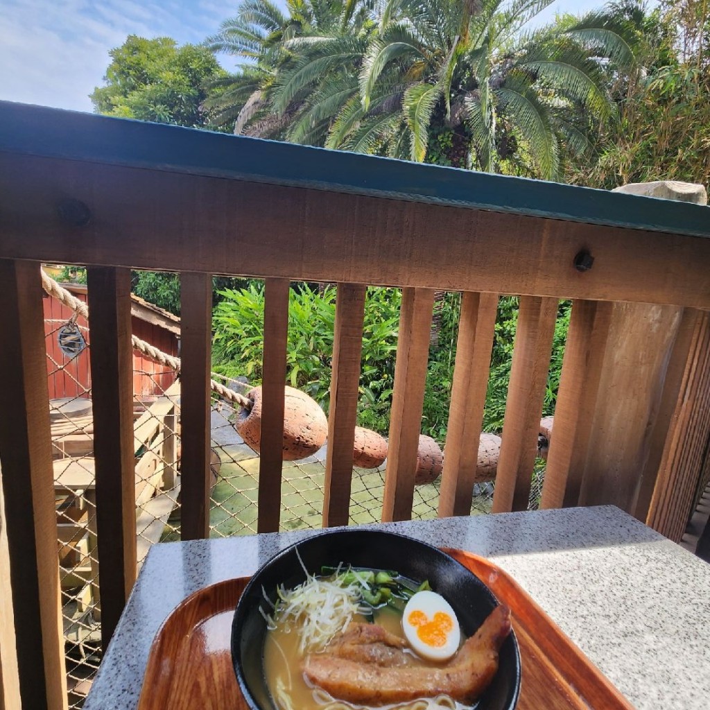 アグジェウルフさんが投稿した舞浜ラーメン / つけ麺のお店チャイナボイジャーの写真