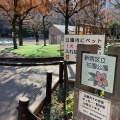 実際訪問したユーザーが直接撮影して投稿した新宿公園花園公園の写真