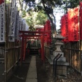 実際訪問したユーザーが直接撮影して投稿した代々木神社代々木八幡宮の写真