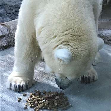 sarafinaさんが投稿した上原町動物園のお店愛媛県立とべ動物園/エヒメケンリツトベドウブツエンの写真