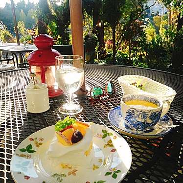 実際訪問したユーザーが直接撮影して投稿した千ヶ瀬町紅茶専門店ティールームの写真