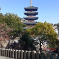 実際訪問したユーザーが直接撮影して投稿した中山寺寺中山寺の写真