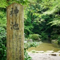 実際訪問したユーザーが直接撮影して投稿した香取神社香取神宮の写真