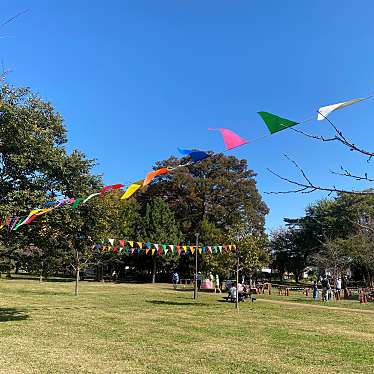 実際訪問したユーザーが直接撮影して投稿した多摩湖町公園都立狭山公園の写真