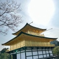 実際訪問したユーザーが直接撮影して投稿した金閣寺町寺金閣寺の写真
