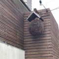 実際訪問したユーザーが直接撮影して投稿した駒沢居酒屋儘 裏路地の写真