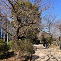 実際訪問したユーザーが直接撮影して投稿した麹町公園千鳥ヶ淵公園の写真