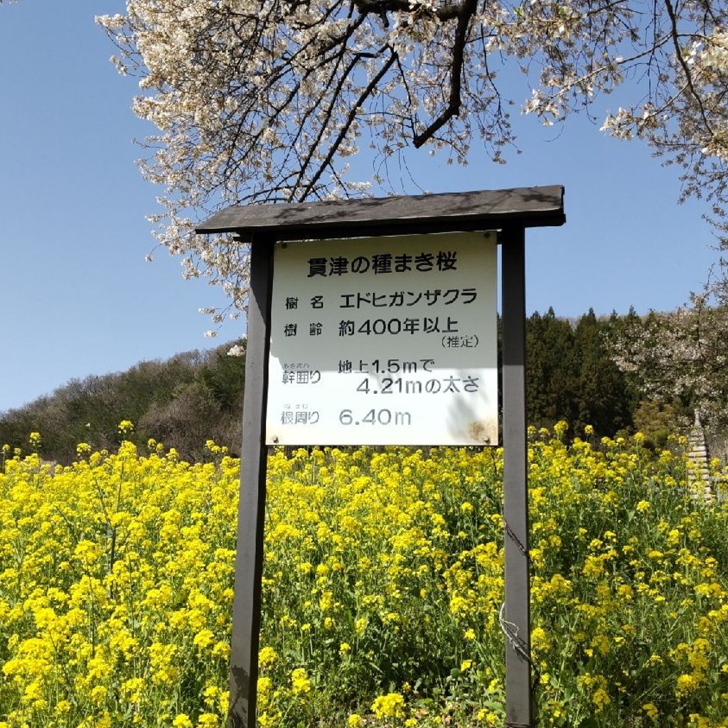 実際訪問したユーザーが直接撮影して投稿した貫津定食屋じゃがらもがら交流センターの写真