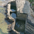 実際訪問したユーザーが直接撮影して投稿した吉尾公園勝浦海中公園の写真