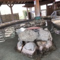 実際訪問したユーザーが直接撮影して投稿した吉田町(よしだまち)日帰り温泉天然温泉 めぐみの湯の写真