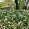 実際訪問したユーザーが直接撮影して投稿した上野公園公園上野恩賜公園の写真