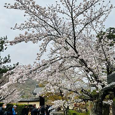 実際訪問したユーザーが直接撮影して投稿した嵯峨天龍寺芒ノ馬場町寺天龍寺の写真