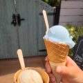 実際訪問したユーザーが直接撮影して投稿した沖新田アイスクリームジェラートハウスの写真