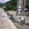 実際訪問したユーザーが直接撮影して投稿した荻町神社白川八幡神社の写真