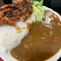 カツカレー大盛り(100円増し) - 実際訪問したユーザーが直接撮影して投稿した北長池うどんえど家の写真のメニュー情報