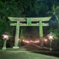 実際訪問したユーザーが直接撮影して投稿した三輪地域名所大神神社 二の鳥居の写真