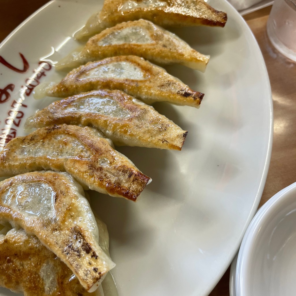 ユーザーが投稿した餃子の写真 - 実際訪問したユーザーが直接撮影して投稿した登呂中華料理中華・麺や あじよしの写真
