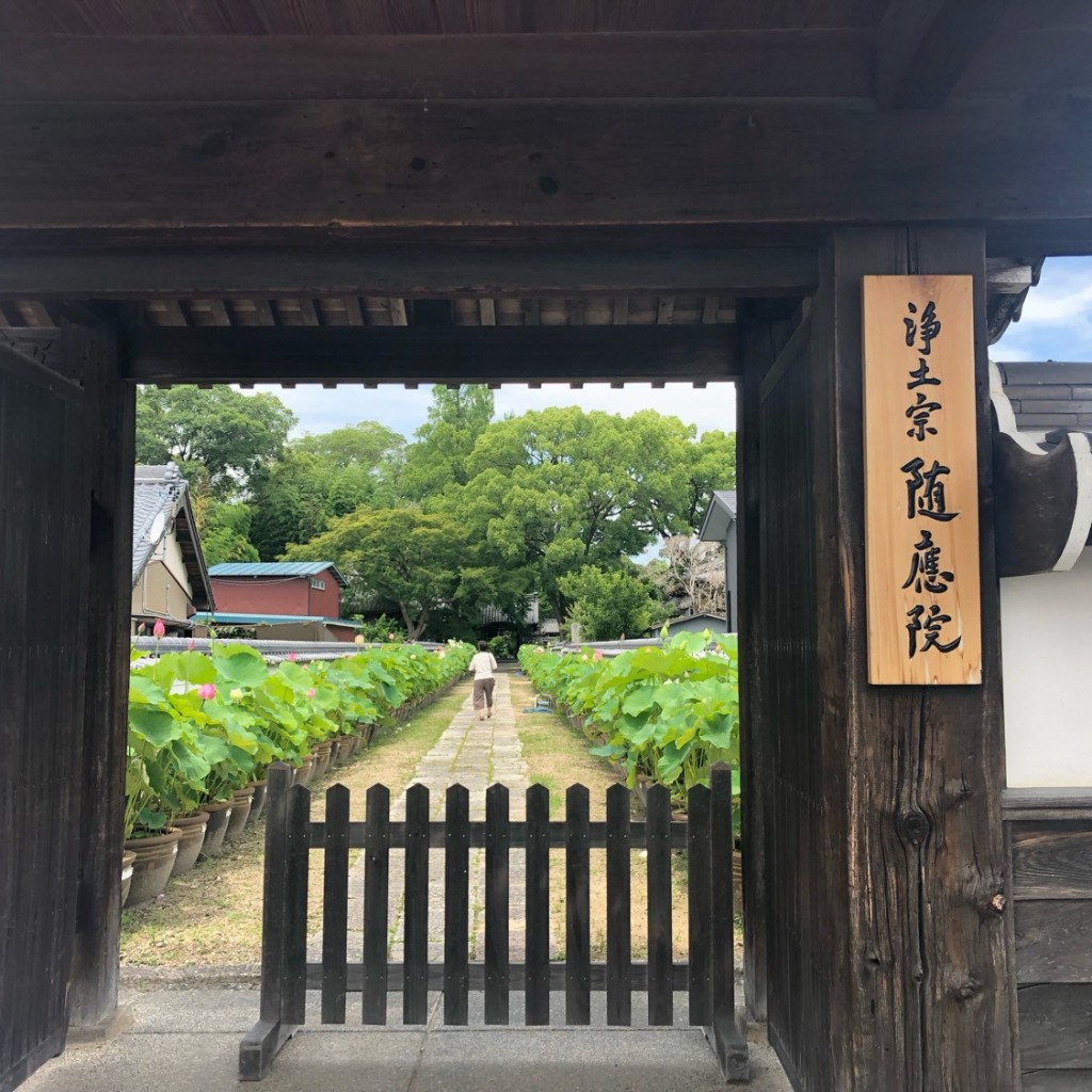 実際訪問したユーザーが直接撮影して投稿した寺部町寺随応院の写真