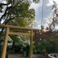 実際訪問したユーザーが直接撮影して投稿した大垣神社元伊勢籠神社の写真