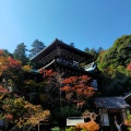 実際訪問したユーザーが直接撮影して投稿した宮島町寺宮島弥山大本山 大聖院の写真