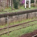 実際訪問したユーザーが直接撮影して投稿した朝生原駅（代表）養老渓谷駅 (小湊鐵道)の写真