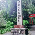 実際訪問したユーザーが直接撮影して投稿した元箱根神社箱根神社の写真