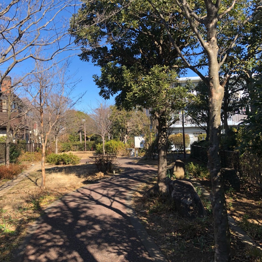 実際訪問したユーザーが直接撮影して投稿した花小金井公園花6花の木公園の写真