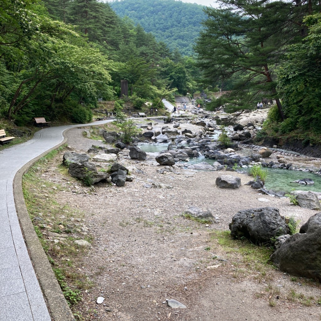 MRピクルスさんが投稿した草津足湯のお店西の河原公園 源泉足湯/ニシノカワラノコウエン ゲンセンアシユの写真