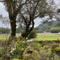 実際訪問したユーザーが直接撮影して投稿した大日寺カフェ楠カフェの写真