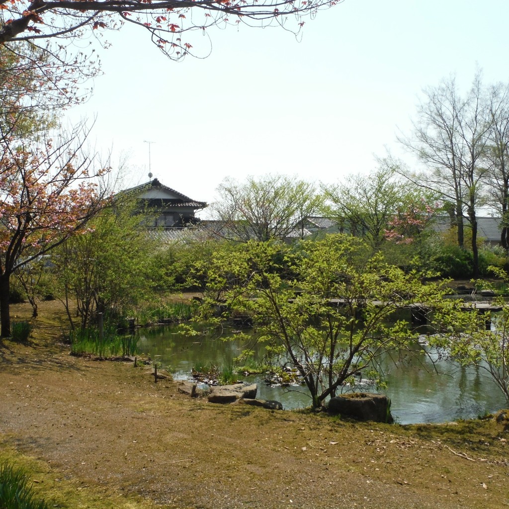 実際訪問したユーザーが直接撮影して投稿した高道植物園 / 樹木園富山県花総合センターの写真