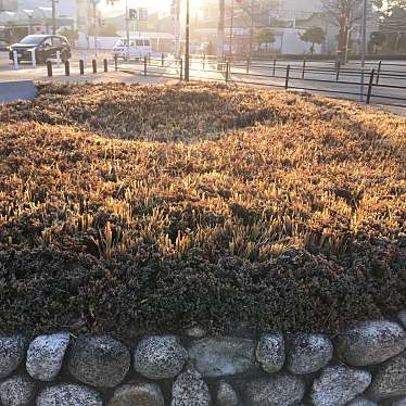 ぶどううり・くすこさんが投稿した武庫元町公園のお店武庫元町緑地の写真
