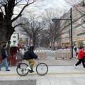 実際訪問したユーザーが直接撮影して投稿した宮西町通りけやき並木通りの写真
