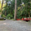 実際訪問したユーザーが直接撮影して投稿した身延山 / 峠身延山の写真