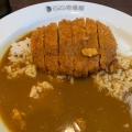 ポークカレー - 実際訪問したユーザーが直接撮影して投稿した田中町カレーCoCo壱番屋 東灘区田中町店の写真のメニュー情報